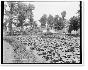 Vintage Americana Print - Brooklyn - Greenwood Cemetery, N.Y