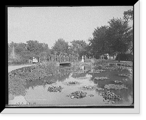 Historic Landscape - Detroit, Michigan - Lily pond, Belle Isle Park