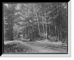 Historic Framed Print, A Path through the woods, station road, Lake Placid, N.Y.,  17-7/8" x 21-7/8"