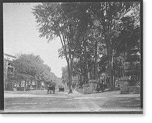 Antique Photo Print - Saratoga - Union Ave., looking east, Springs, N.Y