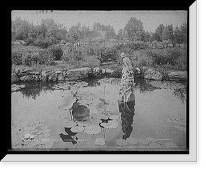 Historic Framed Print, Yaddo, home of Spencer Trask, the lily pond, Saratoga Springs, N.Y.,  17-7/8" x 21-7/8"