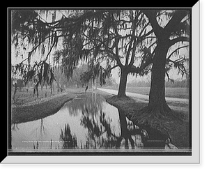 Historic Framed Print, Canal and oaks, Audubon Park, New Orleans, La.,  17-7/8" x 21-7/8"