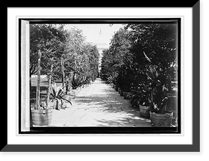 Historic Framed Print, Cap. vista from Botanical Garden,  17-7/8" x 21-7/8"