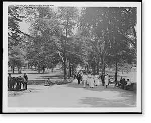 Vintage Photo Print - Boston, Massachusetts - The Long walk, Common