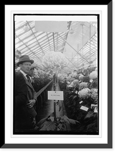 Historic Framed Print, Chrysanthemum show, 10/30/23,  17-7/8" x 21-7/8"