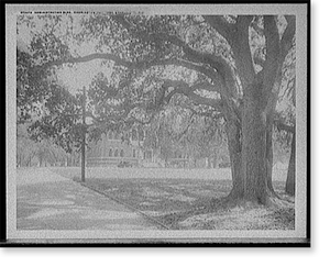 Vintage Nautical Print - Charleston - Administration bldg