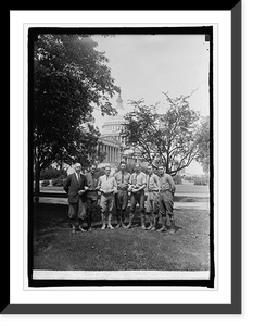 Tree surgeons in Capitol grounds, Washington, D.C, Historic Print