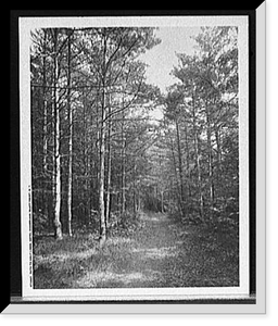 C.E. Hughes in Oregon (Portland), Antique Print