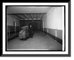 Seed distribution, photo made at Capitol, Washington, D.C, Vintage Print