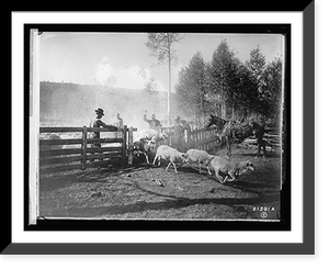 Historic Framed Print, Forest Service: counting sheep,  17-7/8" x 21-7/8"