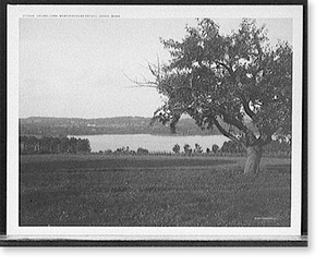 Vintage Landscape - Lenox, Massachusetts - Laurel Lake, Westinghouse