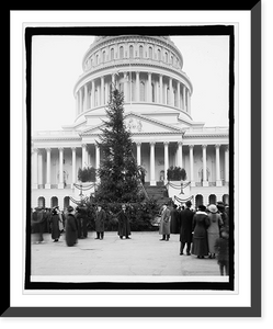 Historic Framed Print, Community Christmas tree, [U.S. Capitol, Washington, D.C.],  17-7/8" x 21-7/8"