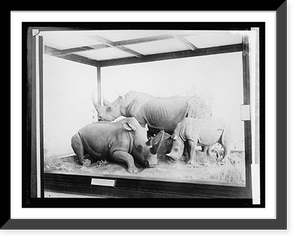 Historic Framed Print, Roosevelt Exhibit, Museum,  17-7/8" x 21-7/8"
