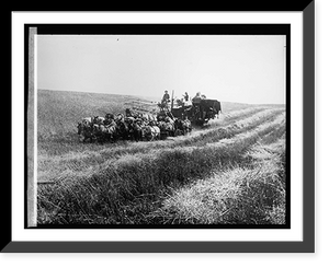 Historic Framed Print, Western farming,  17-7/8" x 21-7/8"