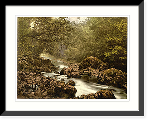 Historic Framed Print, In the Dargle. Co. Wicklow Ireland,  17-7/8" x 21-7/8"