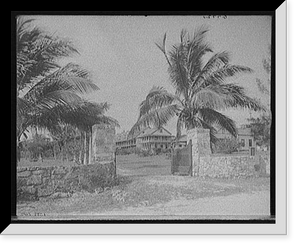 Historic Framed Print, [John M. Hopkins, Lake Placid School, Cocoanut [i.e. Coconut] Grove, Miami, Fla.],  17-7/8" x 21-7/8"