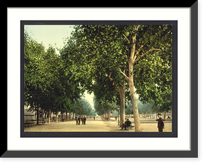 Historic Framed Print, The Promenade Montpelier France,  17-7/8" x 21-7/8"