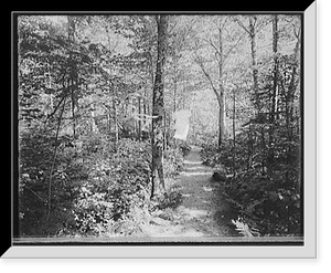 Historic Framed Print, [Profile House, wildwood path, White Mts., N.H.],  17-7/8" x 21-7/8"