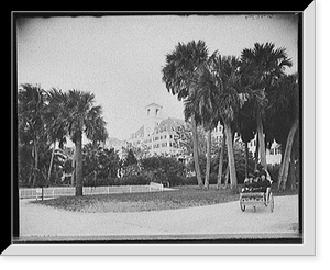 Historic Landscape - Palm Beach, Florida - S.W. view, Royal Poinciana
