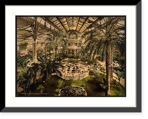 Historic Framed Print, Winter garden (interior) Nice Riviera,  17-7/8" x 21-7/8"