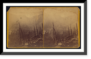Historic Framed Print, [Barren trees and mountains in the background],  17-7/8" x 21-7/8"