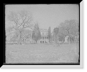 Bloomfield - Zeisler, Historic Reproduction