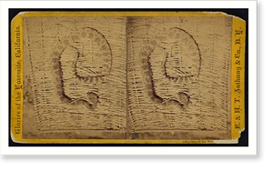 Vintage Stereoview - One of the nati - Antique Wall Decor Print