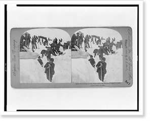 Antique Stereograph - Searching for the dead after snowslide, 1898