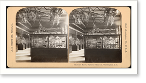 Antique Stereograph - Washington DC - Skeleton Room National Museum