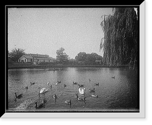 Historic Framed Print, [Lafayette Park, Norfolk, Va.],  17-7/8" x 21-7/8"