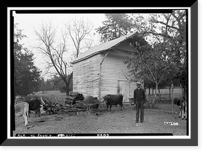 Cedar Grove, Uniontown Road, Faunsdale vicinity, Marengo County, AL - 33, Vintage Print