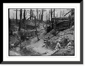 The wood called Des Fermes in the Somme Classic, Antique Wall Art