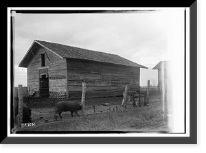 Historic Framed Print, Kenworthy Hall, State Highway 14 (Greensboro Road), Marion, Perry County, AL - 25,  17-7/8" x 21-7/8"