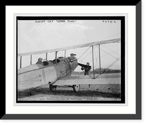 Mascot cat "Spark Plug" on plane, Antique Print