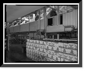 National Orange Company Packing House, 3604 Commerce Street, Riverside, Riverside County, CA - 13, Historic Print