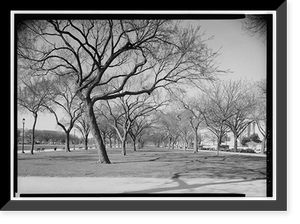 National Mall & Monument Grounds, Washington, District of Columbia, DC - 11, Antique Wall Art
