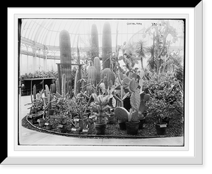 Historic Framed Print, Central Park: Cactus show,  17-7/8" x 21-7/8"