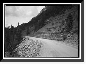 Fall River Road, Between Estes Park & Fall River Pass, Estes Park vicinity, Larimer County, CO - 13, Vintage Print