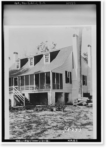 Antique Architecture - Savannah vicinity, Georgia - Wild Heron (2)