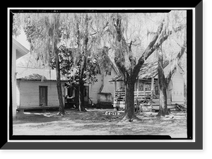 Epping House, Ridgeville, McIntosh County, GA - 2, Vintage Print