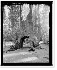 Historic Architecture - Yosemite Village, California - Big Oak Flat (2)