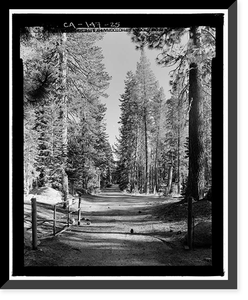 Historic Framed Print, Big Oak Flat Road, Between Big Oak Flat Entrance & Merced River, Yosemite Village, Mariposa County, CA - 16,  17-7/8" x 21-7/8"
