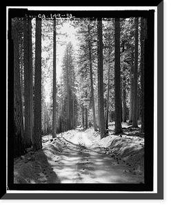 Historic Framed Print, Tioga Road, Between Crane Flat & Tioga Pass, Yosemite Village, Mariposa County, CA - 32,  17-7/8" x 21-7/8"