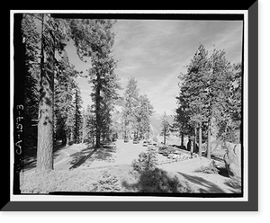 Glacier Point Road, Between Chinquapin Flat & Glacier Point, Yosemite Village, Mariposa County, CA - 3, Historic Print