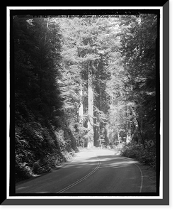 Historic Framed Print, Redwood National & State Parks Roads, California coast from Crescent City to Trinidad, Crescent City, Del Norte County, CA - 25,  17-7/8" x 21-7/8"