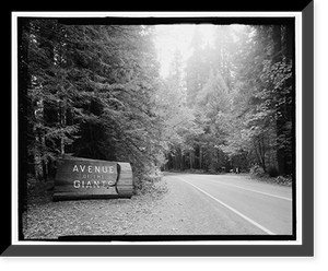 Historic Framed Print, Redwood National & State Parks Roads, California coast from Crescent City to Trinidad, Crescent City, Del Norte County, CA - 27,  17-7/8" x 21-7/8"