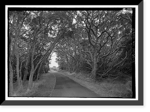 Historic Framed Print, Mauna Loa Road, Volcano, Hawaii County, HI - 2,  17-7/8" x 21-7/8"