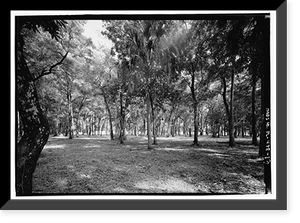 Kingsley Plantation, 11676 Palmetto Avenue, Jacksonville, Duval County, FL - 13, Antique Print