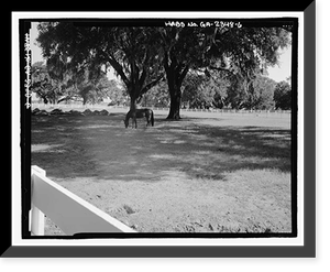 Richmond Hill Plantation, East of Richmond Hill on Ford Neck Road, Richmond Hill, Bryan County, GA - 6, Antique Poster