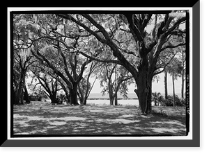 Historic Framed Print, Plum Orchard, Saint Marys, Camden County, GA - 10,  17-7/8" x 21-7/8"